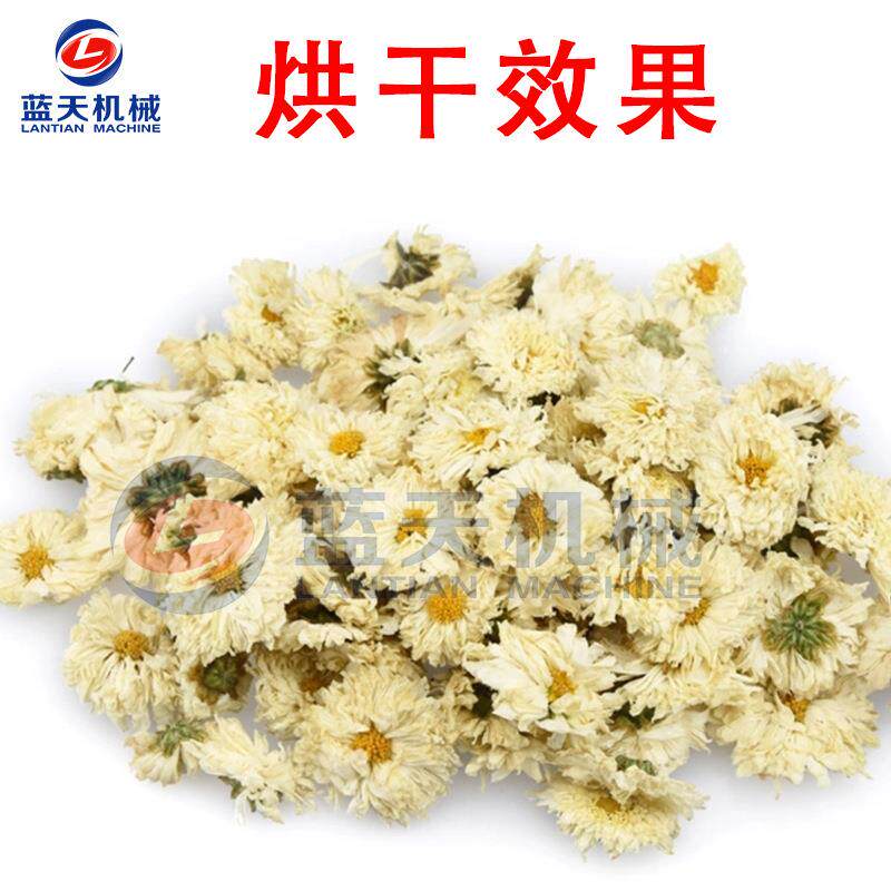 黄山贡菊烘干机 智能徽州贡菊烘干箱 毫菊野菊花茶烘干设备一体机
