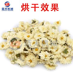 黄山贡菊烘干机 智能徽州贡菊烘干箱 毫菊野菊花茶烘干设备一体机