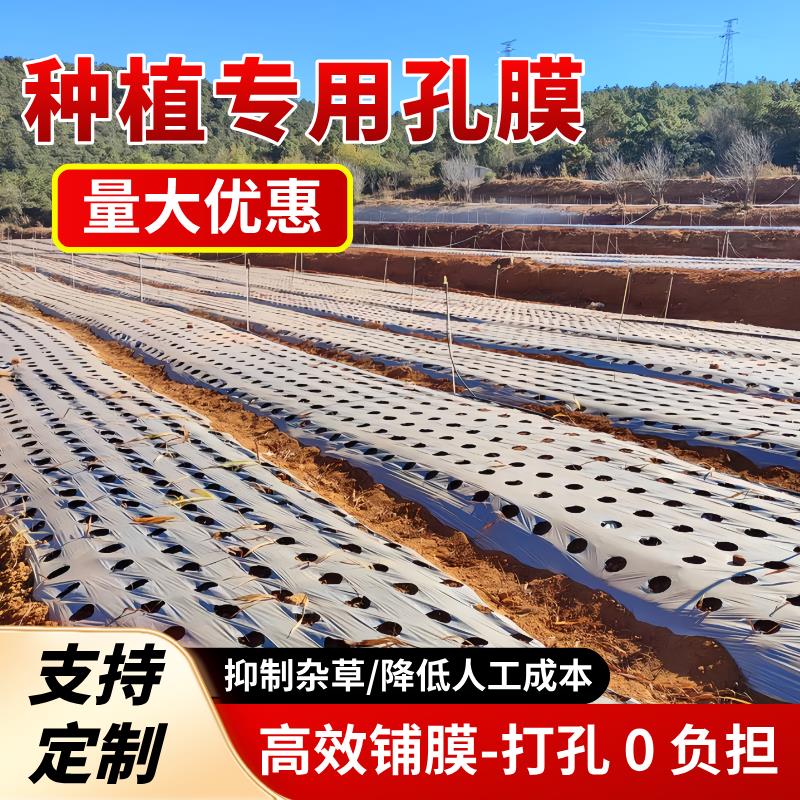 地膜农用种植种菜专用塑料薄膜防草塑料袋定制打孔透气果园