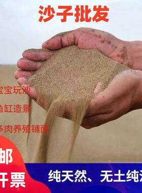 河沙干沙幼儿园专用沙子烘干沙水洗沙实验河沙消防沙干沙50斤包邮