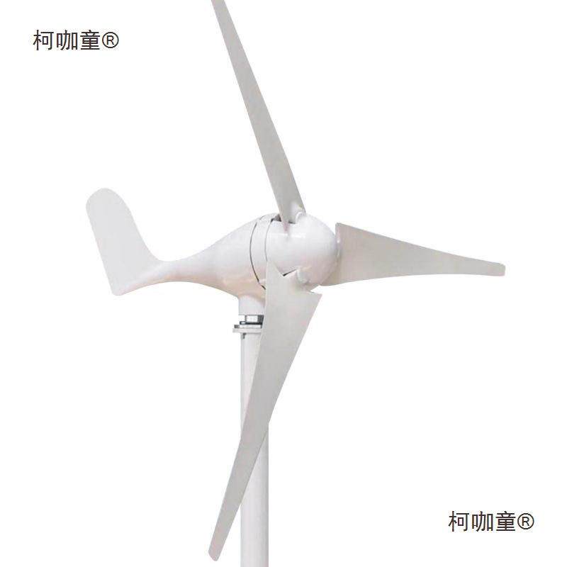 风力发电机小型风力发电机家用风光互补路灯户外船用100W至麦太保