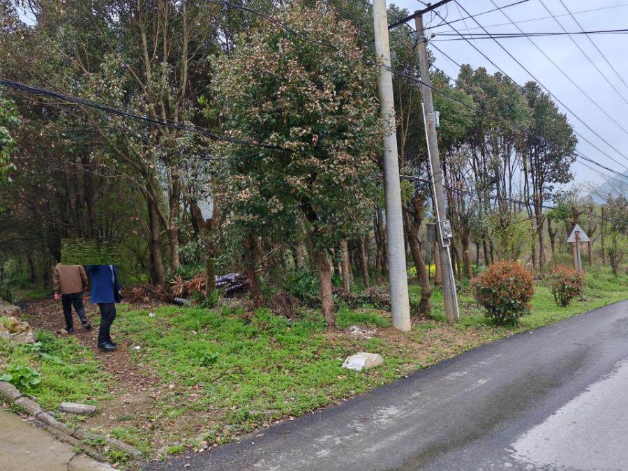 再次拍卖（破）（十）铜陵市振华园艺有限责任公司所有的位于铜陵市义安区钟鸣镇水龙村林木