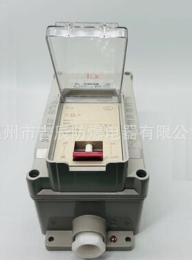 温州松大防爆配电箱BPZ40-1/6A10A16A25A32A/63A防爆回路箱