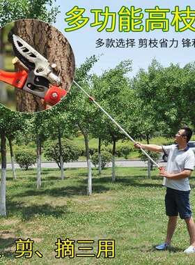 高空伸缩修枝剪锯摘果器专门到树上采摘荔枝龙眼枇杷樱桃桂圆工具