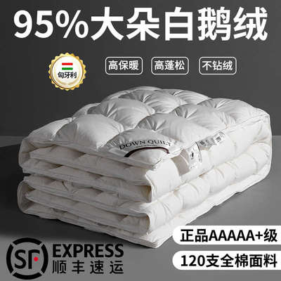 羽绒被95白鹅绒冬被子单人酒店春秋冬天鸭绒全棉被芯冬季加厚保暖