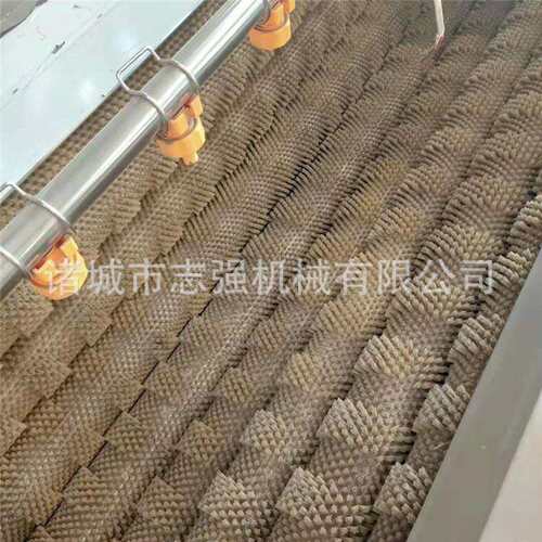 全ALZ自动土豆毛辊清洗不锈钢毛机藕辊清洗去皮机红薯莲洋芋皮去