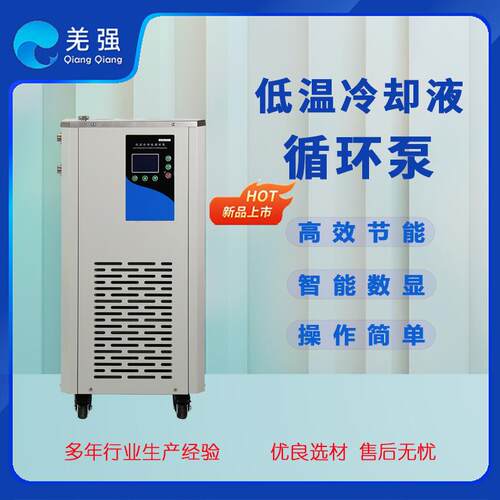 低温冷却液循环泵实验室低温冷却循环器DLSB型低温制冷循环泵