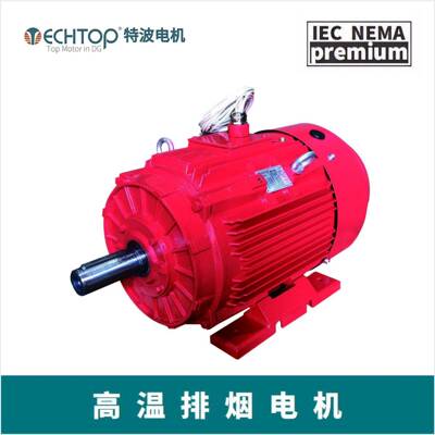 STC系列 特波出口欧洲IEC标准铸铁壳耐高温电机 欧盟CE/EAC认证