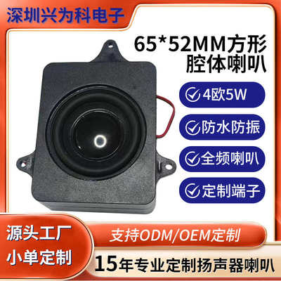 包邮2寸带线内磁全频腔体喇叭5w  智能家居被动振膜扬声器杨声器