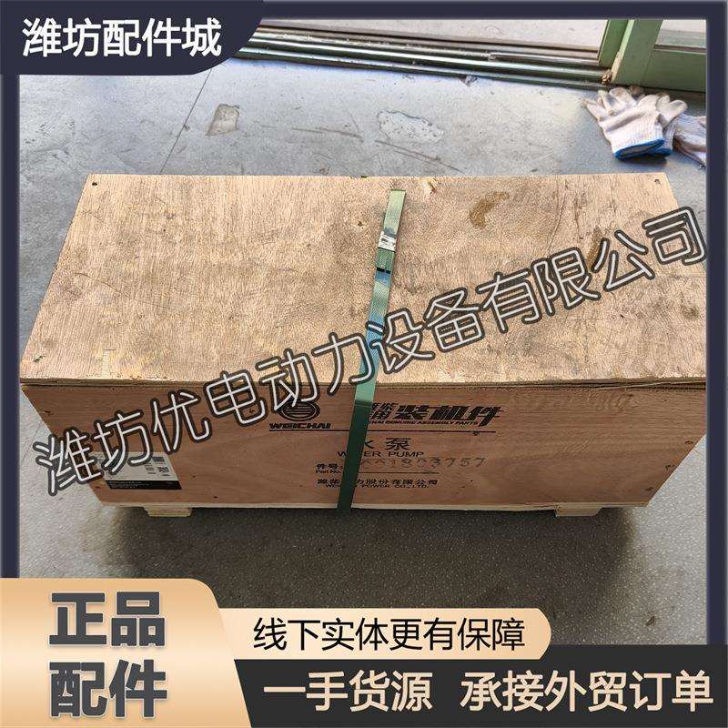 原厂1001803757水泵总成 潍柴WP13柴油发动机6M21博杜安发电机组