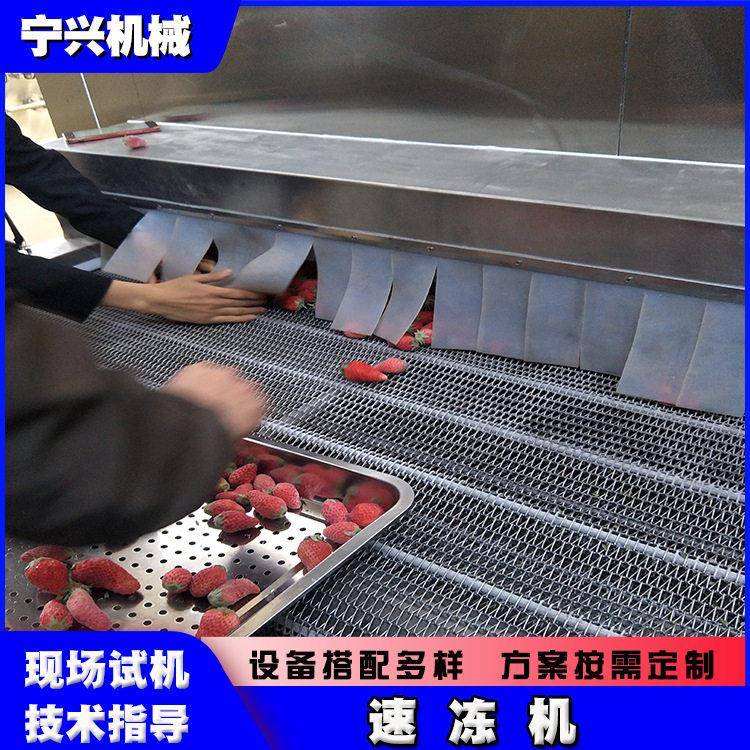 商用隧道式速冻机蔬菜水果海鲜牛羊肉产品的冷冻设备