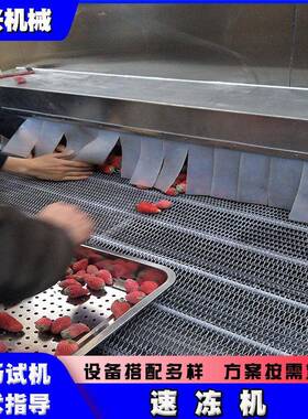 商用隧道式速冻机蔬菜水果海鲜牛羊肉产品的冷冻设备
