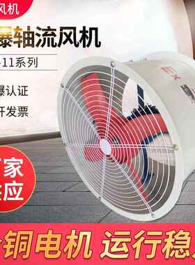 BT35-11-10A防爆固定式轴流风机 隔爆型防爆轴流风机