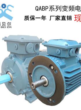 上海变频电机AQBP160L415KWA变频调速电机铸铁带欧姆龙编码器
