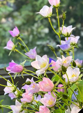 高端花摆瓶摆客厅插花风铃件花仿真花MKK摆设级轻奢高感桌面设