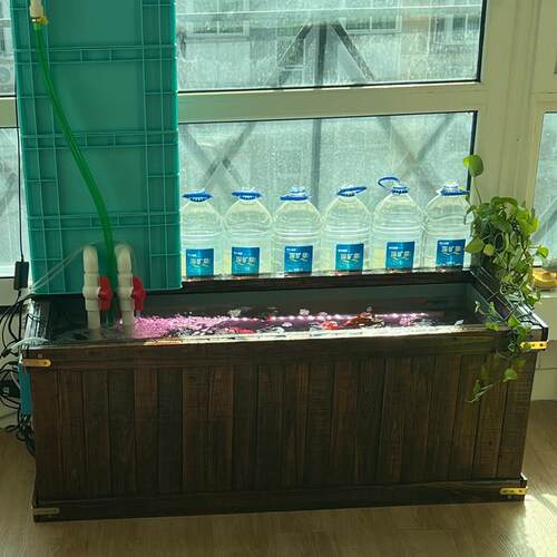 乌龟金鱼鱼YMD池周转过滤箱物流木胶框PP塑料缸箱锦鲤水箱包实框