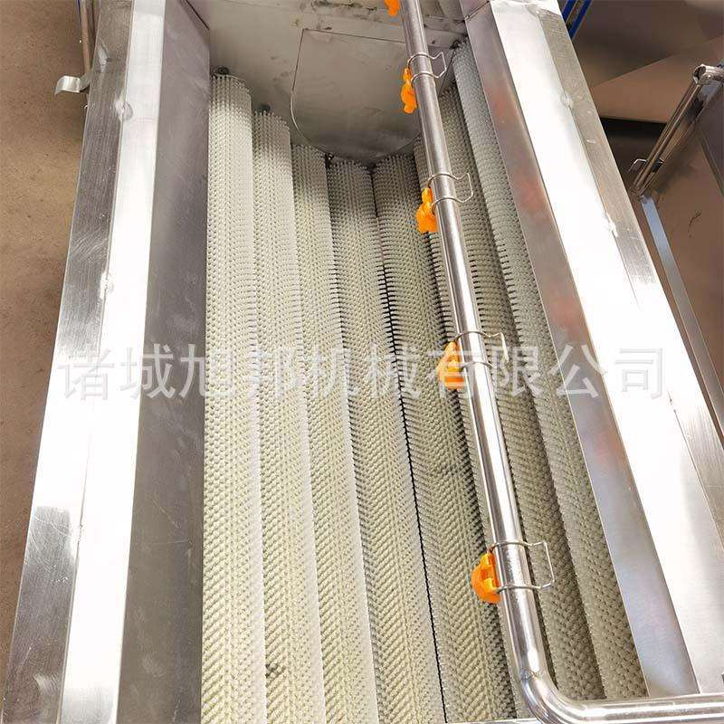 地瓜洗泥去皮机 莲雾毛辊喷淋清洗设备 全自动带泥花生毛辊清洗机