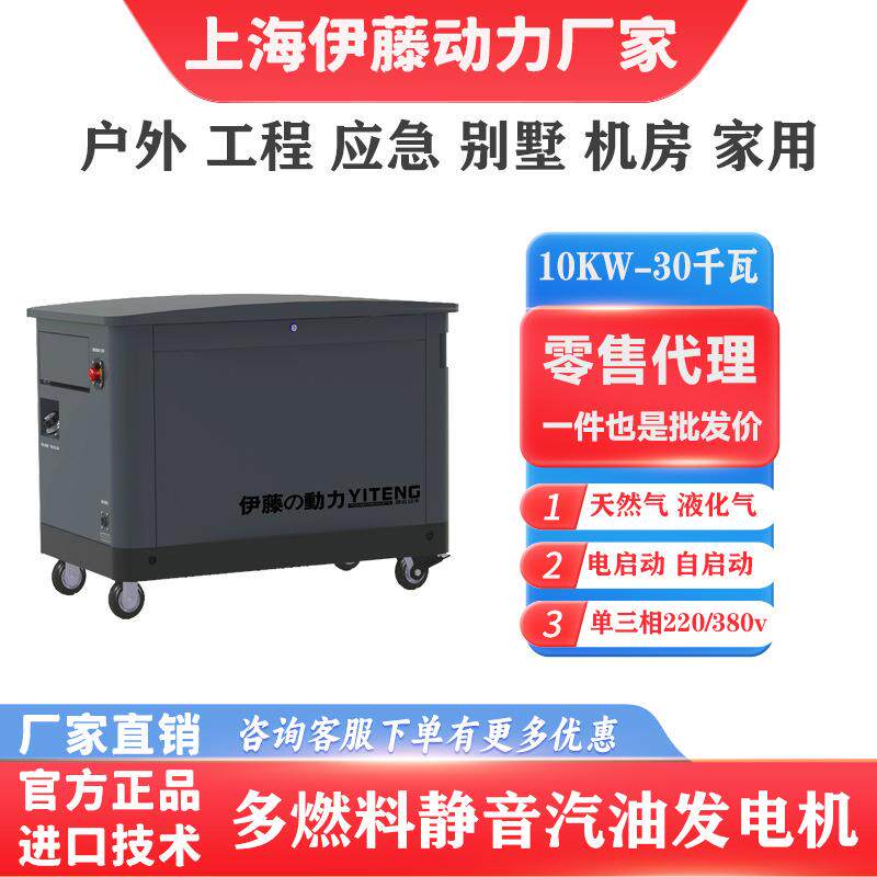燃气发电机汽油发电机多燃料天然气10kw20kw30kw35千瓦