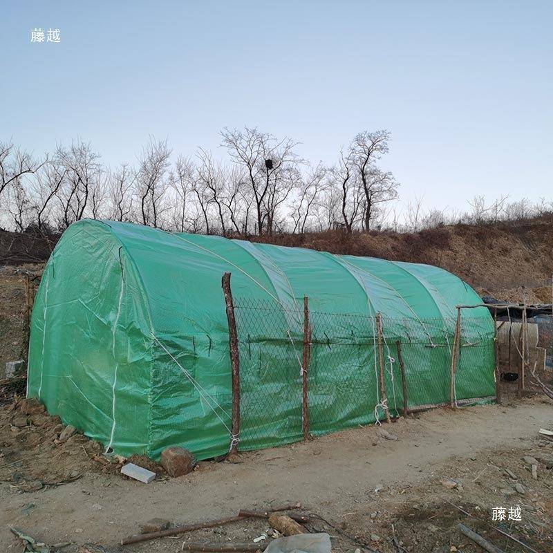 钢管棚骨多肉绿CFA植保温棚鸡鸭养棚阳台庭院蔬菜暖殖房大温室架