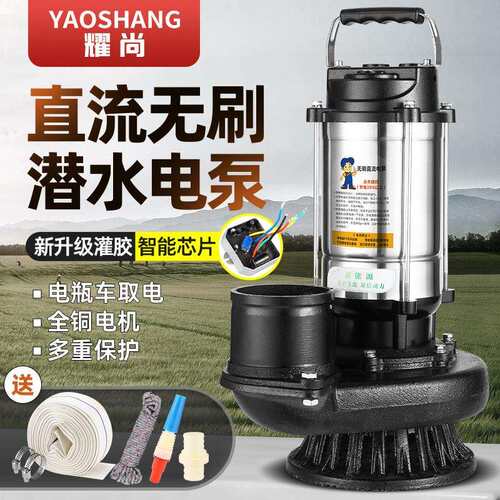 无刷直流潜水泵高扬程48V60V72V家用电动电动车抽水泵农用抽水机