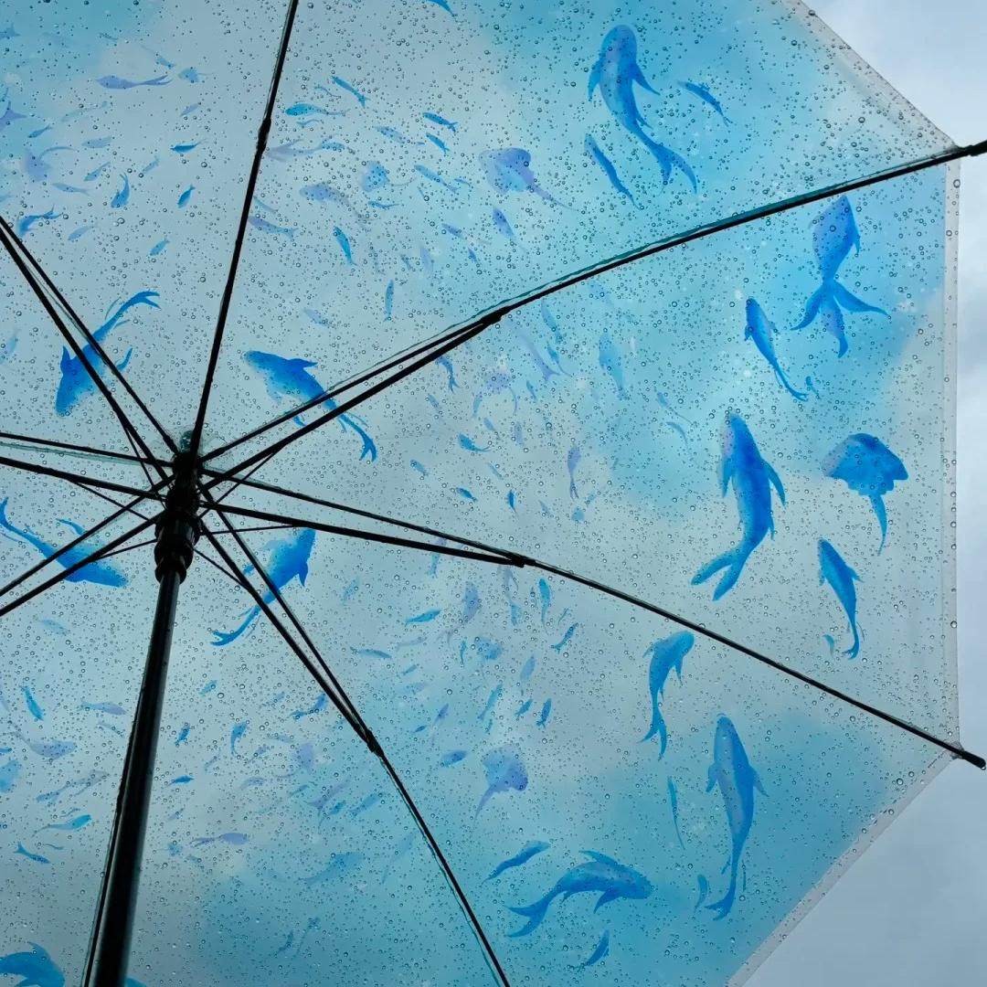 水族馆海洋透明雨伞加大加厚加固高颜值海洋系列2024新款拍照出片