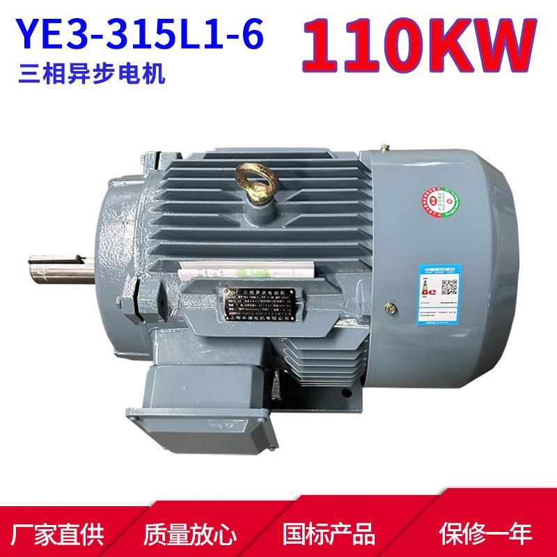 YE3系列三相异步电动机YE3-315L1-6 110KW 6极三相异步电机 马达