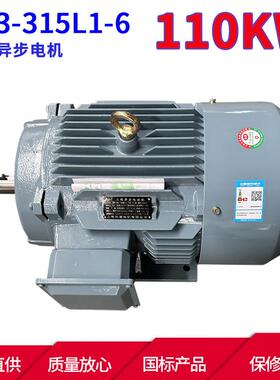 YE3系列三相异步电动机YE3-315L1-6 110KW 6极三相异步电机 马达
