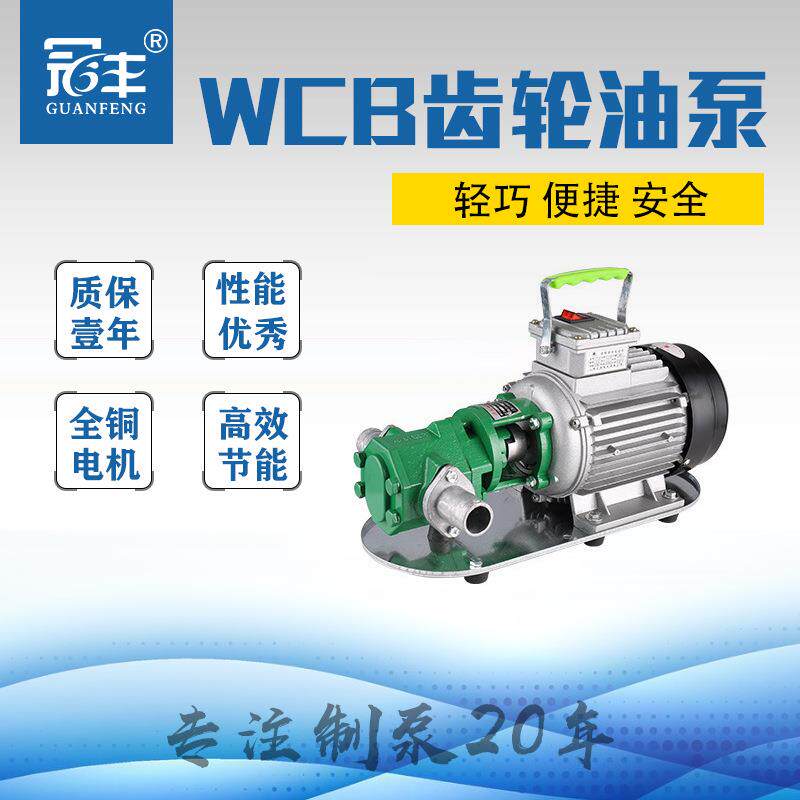 供应不锈钢齿轮式输油泵WCB-75220V小型抽油泵机油泵液压油