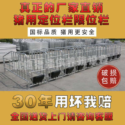 母猪定位栏母猪限位栏热镀猪用定位栏猪用限位栏母猪产床养猪设备