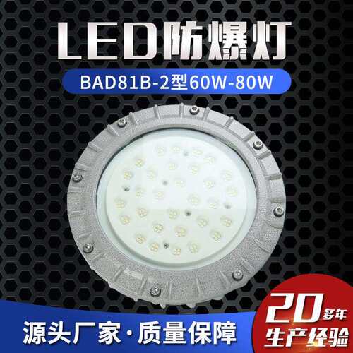 LED防爆灯BAD81B-2型60W-80W防爆照明灯防爆护栏灯防爆平台灯
