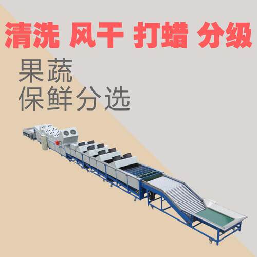 柠檬全套选果设备果蔬保鲜分选机水果打蜡烘干分级机