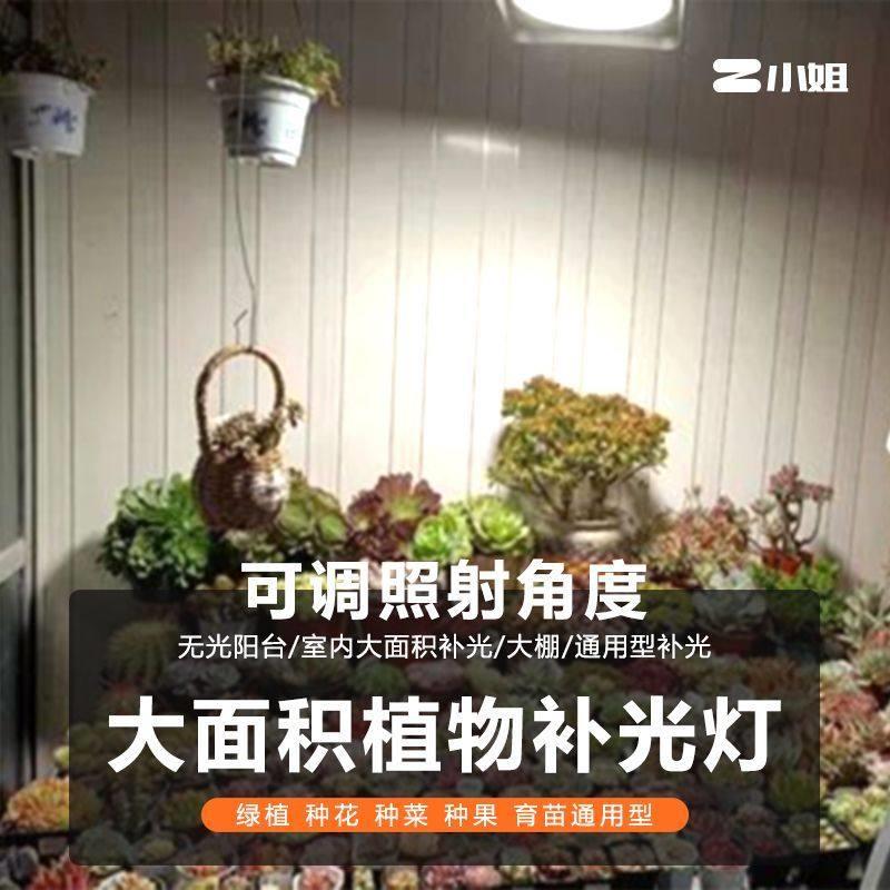 阳台太阳光模拟灯仿太阳全光谱灯室内养兰花卉蔬菜植物生长补光灯