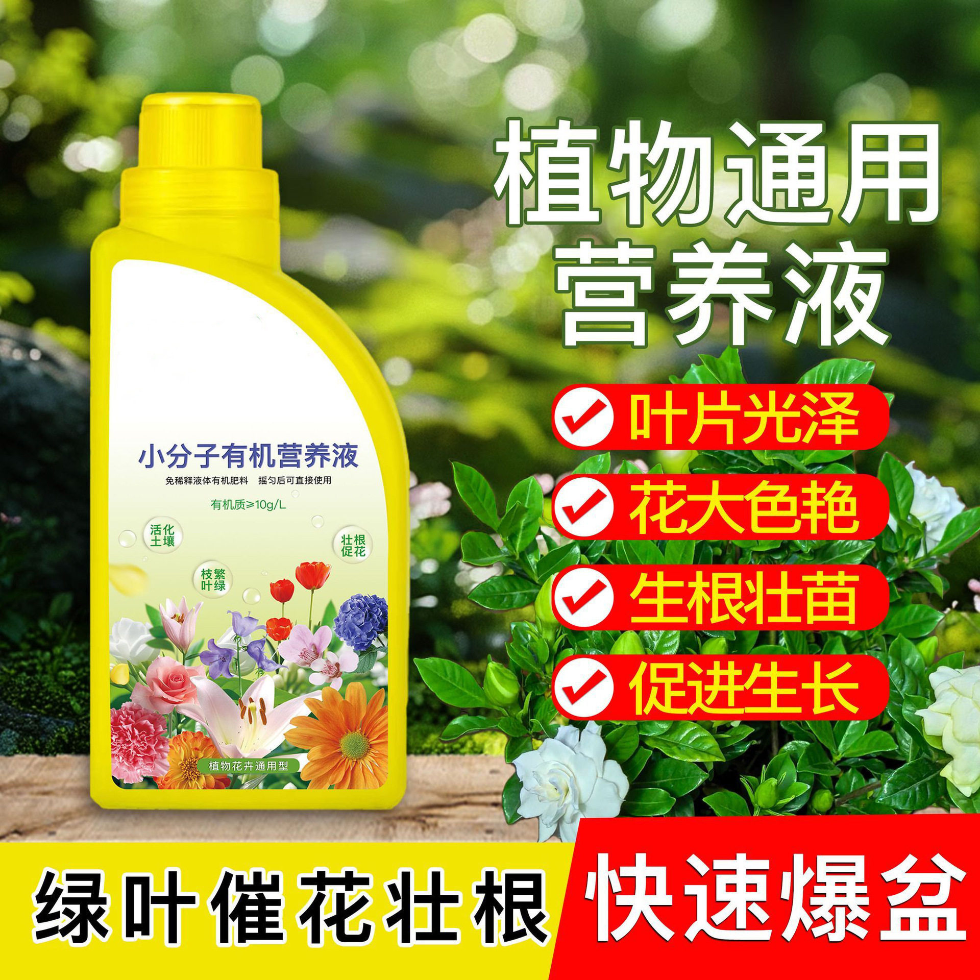 营养液营养液小分子绿植生物菌肥