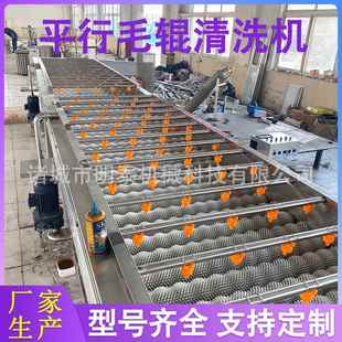 生蚝清洗设备贝壳类还想平行毛辊清洗机板栗核桃清洗机柠檬洗