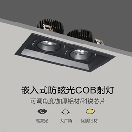 全铝led斗胆灯cob双头，射灯嵌入式防炫目格栅灯，家用客厅走廊天花灯