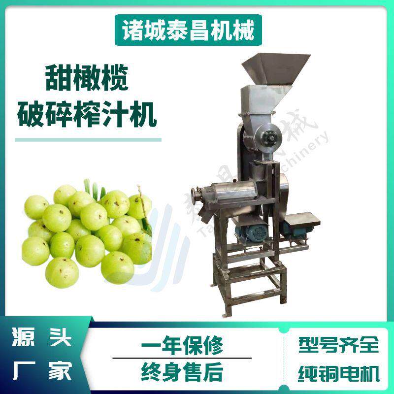 甜橄榄油柑腰果汁榨汁机桑葚不老梅榨汁机器菠萝苹果破碎榨汁设备