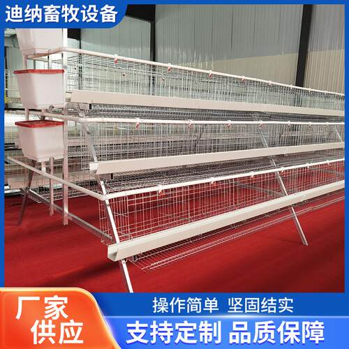 阶梯鸡笼架子鸡舍养鸡镀锌丝养殖设备三四层蛋鸡笼多层式养殖设备