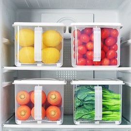 日本冰箱收纳盒保鲜盒食品级冷藏专用带盖沥水果蔬菜分类整理神器