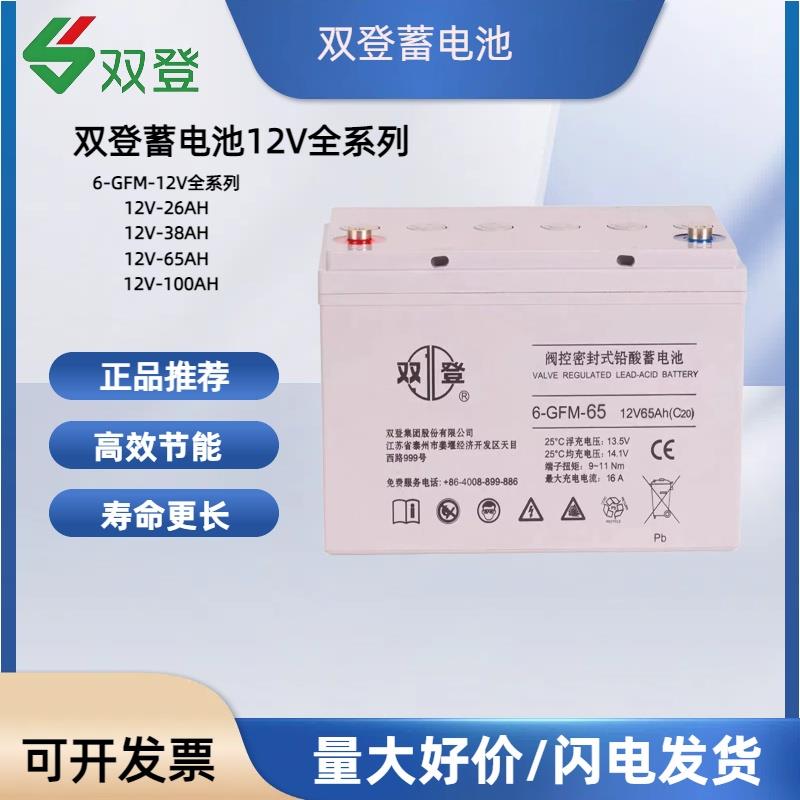 双登蓄电池12V6-GFM-24/38/40/65/100/150/200UPS电源EPS储能电池