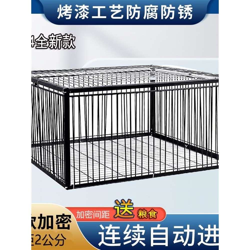 自动抓笼养鸽子笼回收专用捕鸽笼诱捕天落笼撞门户外笼子神器