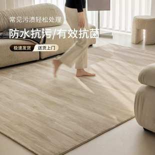 高级感简约奶油风沙发茶几床边毯 防水防污地毯客厅免洗可擦法式