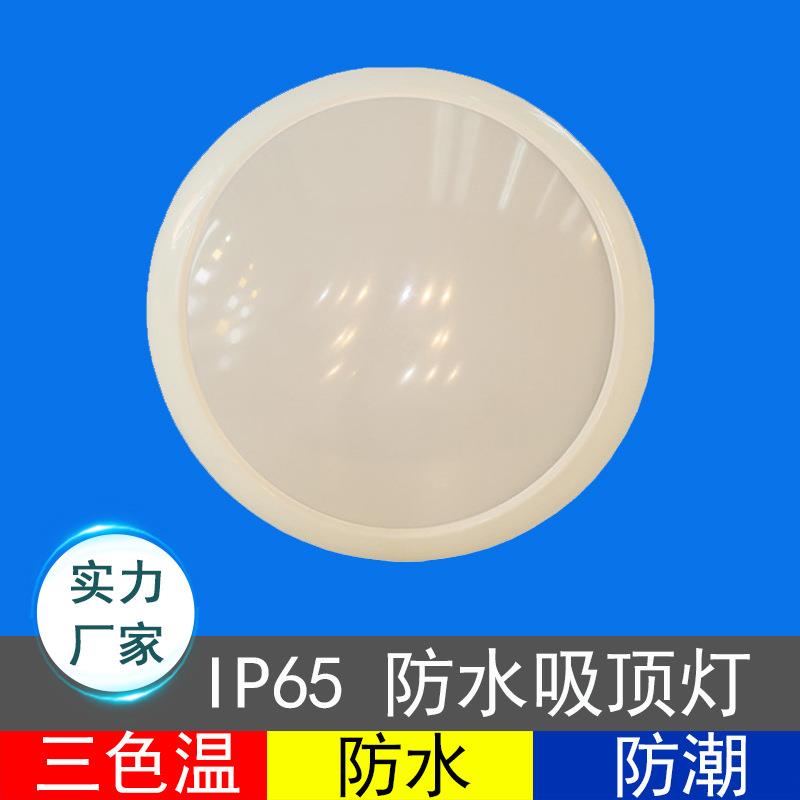 led防水吸顶灯IP65户外防水防尘吸顶灯 浴室卫生间防潮防雾吸顶灯
