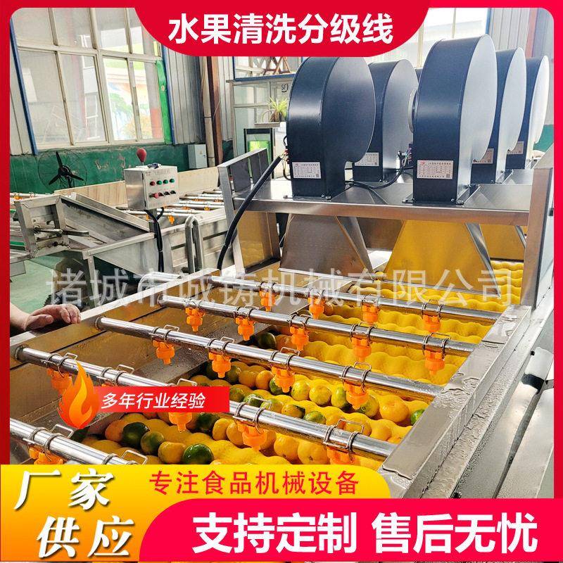 全自动柑橘清洗风干分级线赣南脐橙清洗风干选果线洗果机选果机