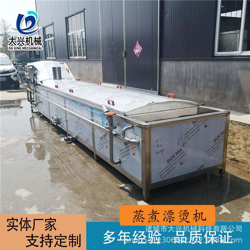 菊花金银花蒸汽杀青机撒尿丸子漂烫蒸煮线藕片巴氏杀菌流水线