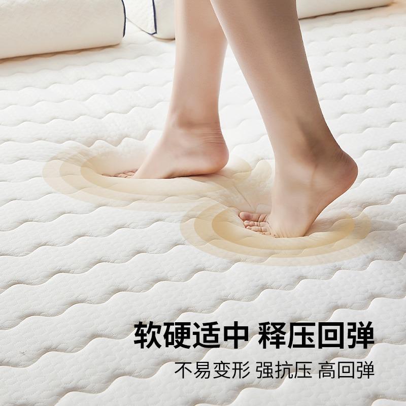 乳胶床垫垫家用卧室1榻榻米垫子租房专用软米5海绵垫宿87312舍生