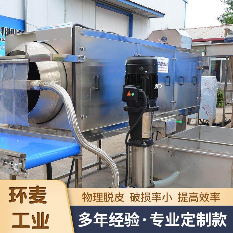 核桃仁去皮清洗机 香榧脱皮机 核桃仁滚筒清洗机 碧根果脱衣设备