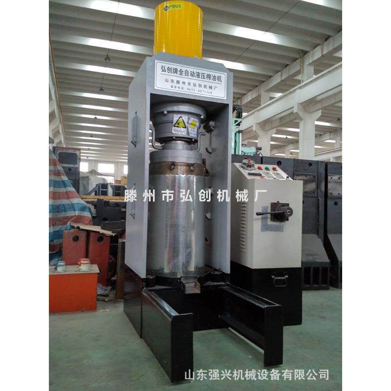 简单好用的榨油机棕榈果液压榨油机辣木籽油榨油机