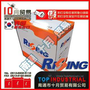 韩国RISING 电瓶 原装 进口 大型LCD基板搬运车蓄电池