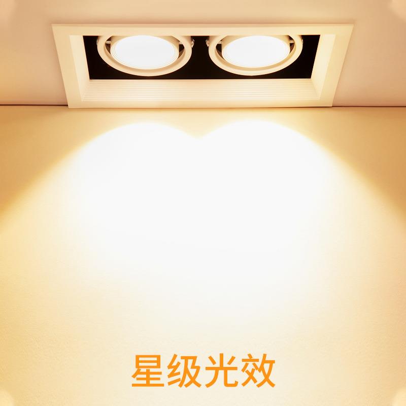 斗胆灯嵌入式单头双头天花灯led长方形过道格栅吊顶cob射灯豆胆灯