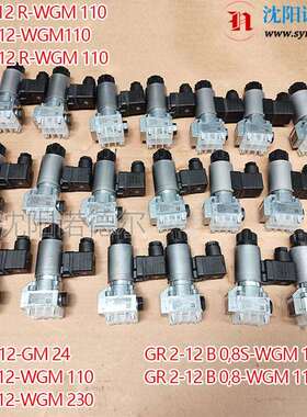 HAWE哈威GR2-12R-GM24GR2-12S-GM24GR2-12-GM24